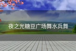夜之光糖豆广场舞水兵舞