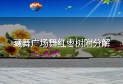 藏舞广场舞红枣树附分解