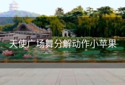 天使广场舞分解动作小苹果