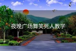 夜晚广场舞笑死人教学