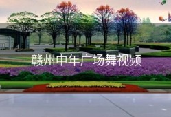 赣州中年广场舞视频