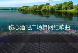 伤心酒吧广场舞网红歌曲