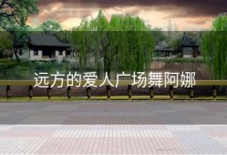 远方的爱人广场舞阿娜