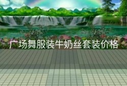 广场舞服装牛奶丝套装价格