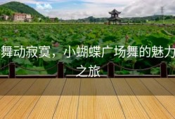 舞动寂寞，小蝴蝶广场舞的魅力之旅