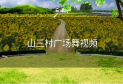 山三村广场舞视频