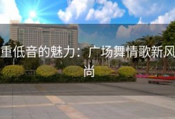 重低音的魅力：广场舞情歌新风尚