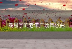 最易学的老年广场舞歌曲