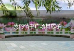 我的情书广场舞応子