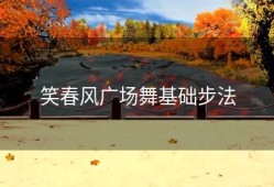 笑春风广场舞基础步法