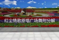 红尘情歌原唱广场舞附分解