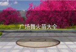 广场舞火苗大全