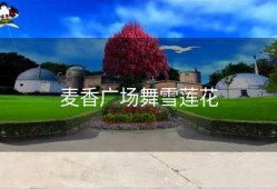 麦香广场舞雪莲花