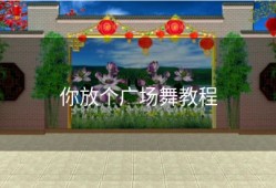 你放个广场舞教程