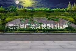 若清风广场舞我想回拉萨