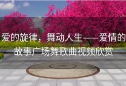 爱的旋律，舞动人生——爱情的故事广场舞歌曲视频欣赏