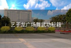 艺子龙广场舞武功秘籍