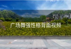 广场舞强性格背面视频