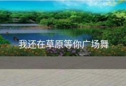 我还在草原等你广场舞