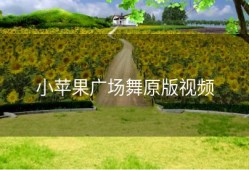 小苹果广场舞原版视频