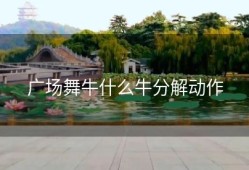 广场舞牛什么牛分解动作