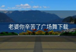 老婆你辛苦了广场舞下载