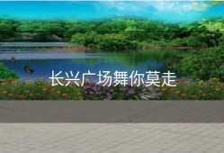 长兴广场舞你莫走