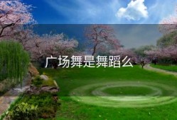 广场舞是舞蹈么