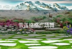 雪莲格格广场舞