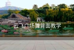 云飞广场舞背面教学