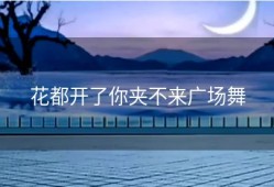 花都开了你夹不来广场舞