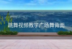 跳舞视频教学广场舞背面