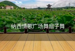 纳西情歌广场舞扇子舞