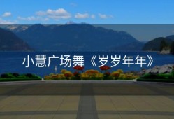 小慧广场舞《岁岁年年》