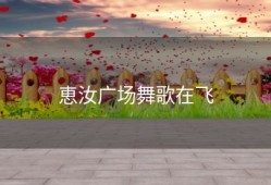 恵汝广场舞歌在飞