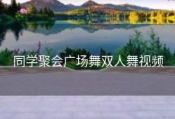 同学聚会广场舞双人舞视频