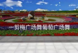 一剪梅广场舞葡萄广场舞