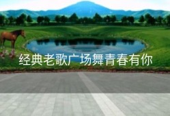 经典老歌广场舞青春有你