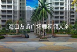 海口友谊广场舞视频大全