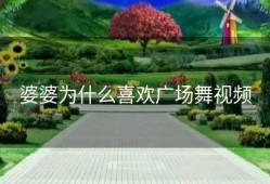 婆婆为什么喜欢广场舞视频