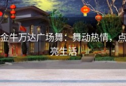 金牛万达广场舞：舞动热情，点亮生活