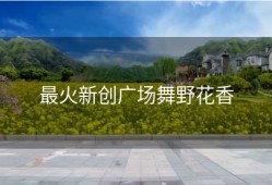 最火新创广场舞野花香