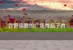 袁野编舞的广场舞扇子舞