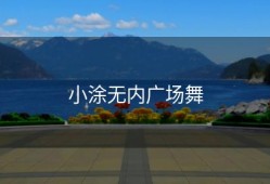 小涂无内广场舞