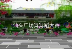 汕头广场舞舞蹈大赛