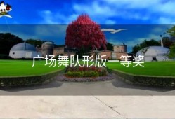 广场舞队形版一等奖