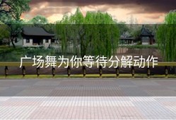 广场舞为你等待分解动作