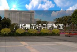 广场舞花好月圆背面