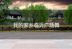 我的家乡临沂广场舞