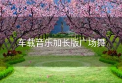 车载音乐加长版广场舞